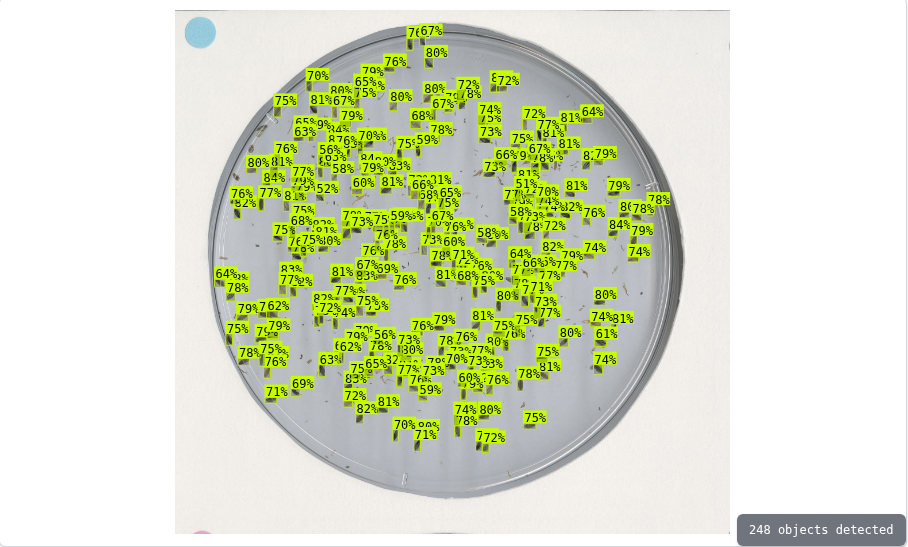 fonio seed computer vision showcase