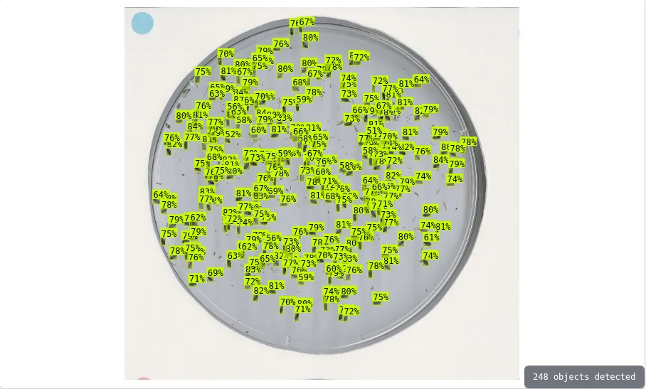 fonio seed computer vision showcase